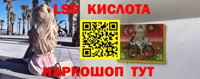 ALPHA-PVP Новозыбков