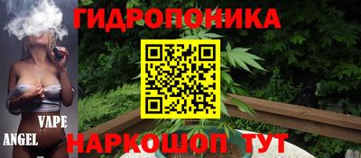 ALPHA-PVP Новозыбков