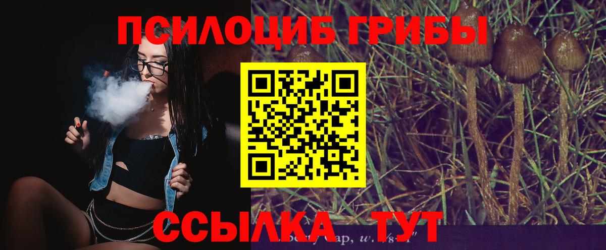 Галлюциногенные грибы ЛСД Рубцовск